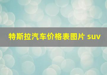 特斯拉汽车价格表图片 suv